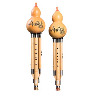 葫芦丝小学生乐器专用C调降b调成人初学七孔入门专业演奏型旗舰店