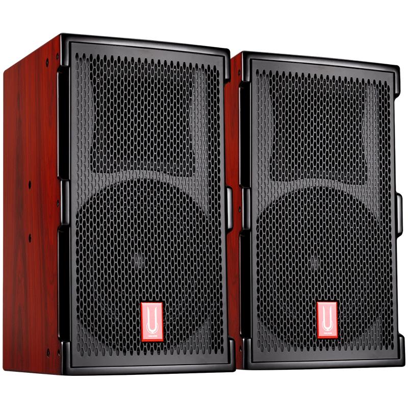 12-inch horn karaoke speaker Yacare wood color