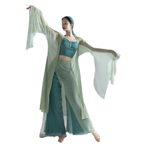 Bao Guang Honghua Chinese Dance Classical Dance Classic Woman Previous Life Floating Dress Yellow Snake Practice Costume