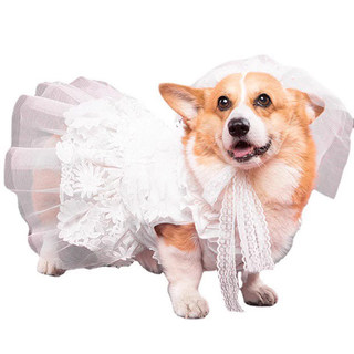 Pet Dog Wedding Dress, Dress, Wedding Photo Shoot, Clothes, Cute Puffy Skirt, Lace Princess Skirt