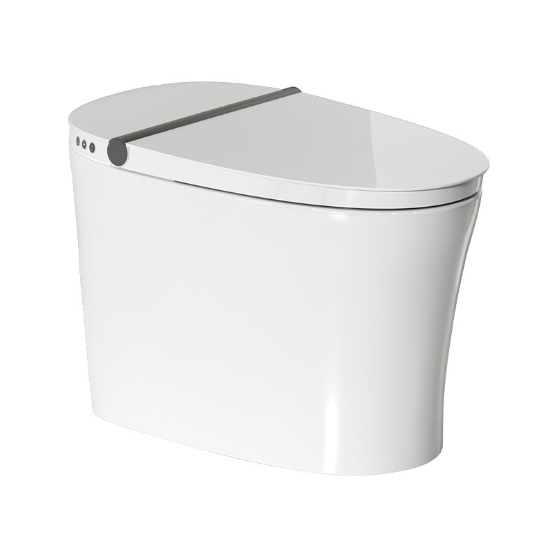 Realt double flush light smart toilet M30M1
