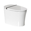 Realt double flush light smart toilet M30M1