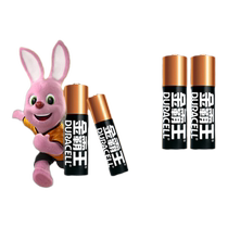 Duracell AA 5 alkaline battery