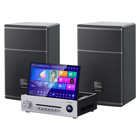 C13 Shanshui 12-inch professional home KTV audio set