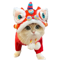 Pet New Year Tiger Head Hat Autumn and Winter Warm Dog and Cat Funny Transformation Headgear Headgear Supplies Wholesale