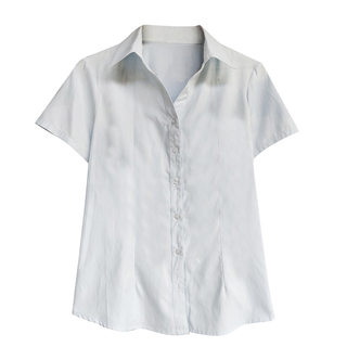 大码衬衫200斤胖子女装加肥加大衬衣胖mm春夏正装胖人长袖职业装