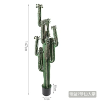 Принесите сказочную ладонь в бассейне 7