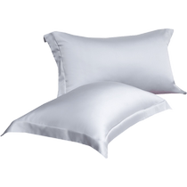 Summer 100 Count Lenzing Tencel Pillowcases Pair 48x74cm Ice Silk Home Summer Silk Cool Feeling Pillowcases
