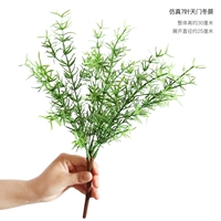 Имитация семилистного папоротника спаржи