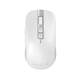 Tencent Yuanbao AI mouse DeepSeek full blood version