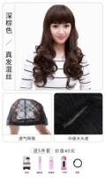 Qi liu hai Deep Brown [большая кожа головы] дает пять кусков подходов
