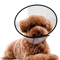 Pet Beauty Hood Lap Dogs Cat Kittens Collar Groggy Groggy Cat Anti-Licking Bites Soft Circles Pet Headgear Shame Ring