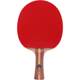 Double Happiness two-star children's table tennis racket for primary school students