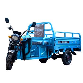 Electric tricycle for pulling goods, agricultural household stalls, national standard ivy electric tricycle, battery vehicle load king