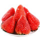 Authentic Dandong 99 Strawberry