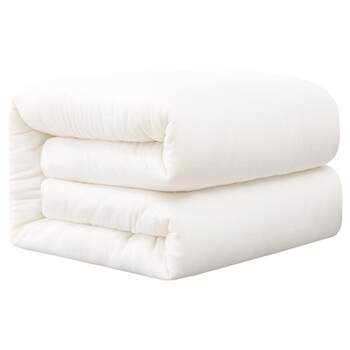 Xinjiang quilt thickened warm cotton quilt quilt