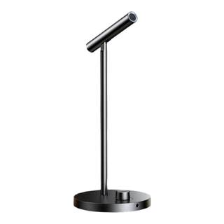 Green alliance conference live online class desktop computer microphone