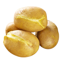 2024 Gansu Dingxi New Potato Yellow Hearts Big Potato Fresh Artichokes Potato 10 catty Farmhouse