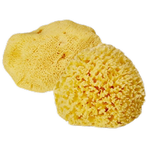 (Self-operated) okbaby imported baby bath flower Mediterranean natural honeycomb bath ball baby bath sponge