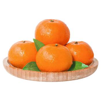 Guangxi wumingwo tangerine fresh fruits are picked and grown