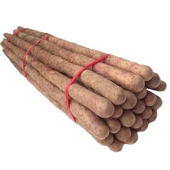 Wenxian loess soil iron bar yam jiaozuo fresh yam