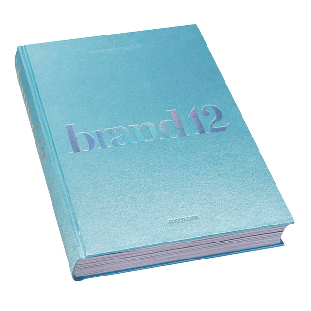 Spot brand12 Brand Volume 12 The Birth of the Brand Graphic Brand Design Book Yearbook Brand Design Portfolio Visual Design Case Portfolio