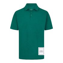 Aston Martin AramcoF1 logo polo shirt