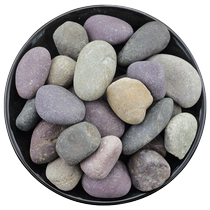 50 catty pebble paving cobblestone paving large courtyard black and white limestone head original stone fish tank decorated with natural goose soft and warm stones