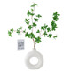 Simulated hanging bell branch home decoration living room ornaments good things