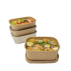 Autumn outing disposable lunch box food-grade pasta light lunch box fruit picnic packaging box microwaveable