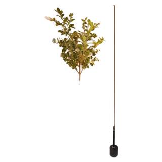 The bedroom is full of atmosphere and floor lamp!