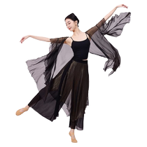 Fubo classical dance clothing elegant gauze clothing adult practice clothing ethnic clothing bronzing chiffon and Chinese style cardigan