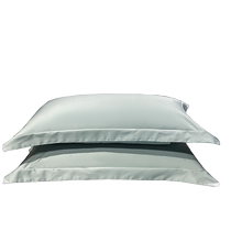 A pair of pillowcases for household pillowcases 2023 new pure cotton 100 cotton long-staple cotton set solid color high-end