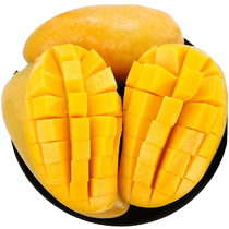 Authentic Hainan Jinhuang Mango fresh fruit 10 fruit fresh season full box of golden mango