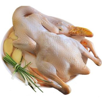 Free-range fresh teal duck 1kg native duck