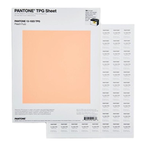 Pantone Pantone 2024 Color of the Year Large TPG Paper Color Card 13-1023 Peach Fuzz Soft Peach Clothing Home Furnishing
