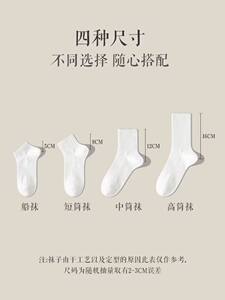 白色运动袜子女中筒袜春秋薄款棉袜吸汗透气防臭长袜配鲨鱼皮裤袜