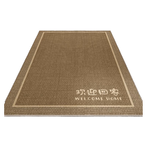 Belgian velvet entry door floor mats household door dust removal and sand scraping foot mats non-slip and dirt-resistant entry door carpets jy