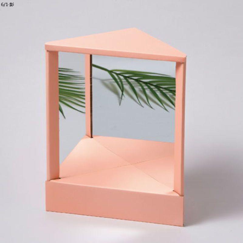 真実の鏡 ミラーレスミラー 左右非反転 非反転リバースミラー ミラー 直角前向きミラー 化粧鏡