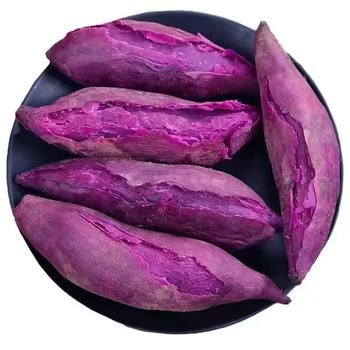 Seasonal fresh purple sweet potato 3/5/9 pounds freshly dug sandy sweet potato flour, waxy purple heart sweet potato, medium large sweet potato, self-sown sweet potato