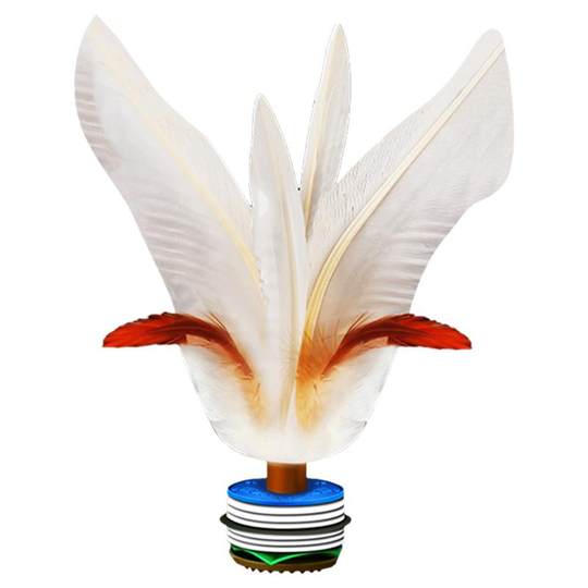 Dabai shuttlecock competition sports special