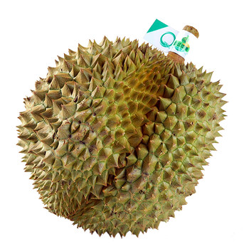 Seasonally imported fresh thai tree-ripened golden pillows