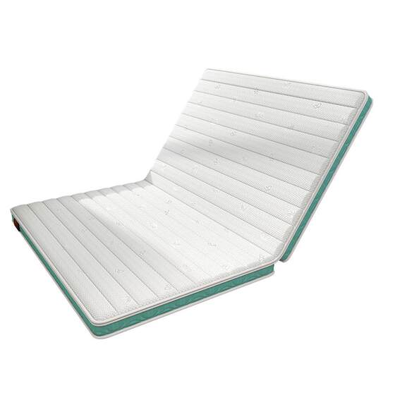 SW tatami coconut palm latex cushion can be customized and folded