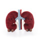 Apricot Lamb Vitality Kidney Plush Toy Boys and Girls Birthday Gift Doll Doll