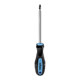 Screwdriver with magnetic ring