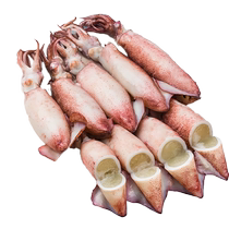 新鲜海兔子满籽大小墨鱼仔海鲜水产鲜活冷冻笔管鱼全籽乌贼八爪鱼