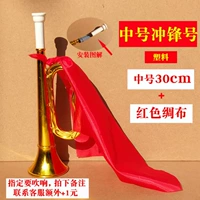 Пластиковый номер заряда 30 см + красный шелк