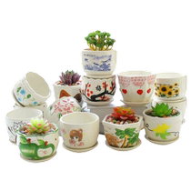 Succulent flower pot ceramic special clearance large succulent plant tray pothos creative simple large diameter small flower pot