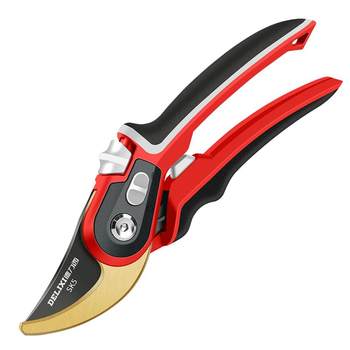 Delixi pruning shears ສໍາລັບ pruning ຫມາກໄມ້, shears pruning ສວນ, shears ສວນດອກໄມ້, ມີດຕັດພິເສດສໍາລັບການຕັດສາຂາ