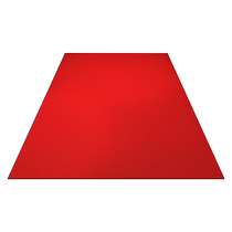 Entrance door floor mat door non-slip thickened waterproof mat household carpet door wire ring foot mat door 2556